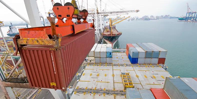 Export logistics at the final stage, from container loading to international shipment.